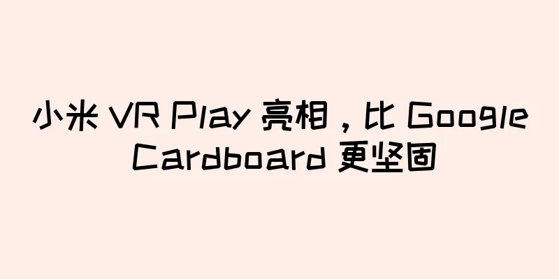小米 VR Play 亮相，比 Google Cardboard 更坚固