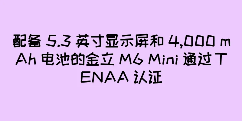 配备 5.3 英寸显示屏和 4,000 mAh 电池的金立 M6 Mini 通过 TENAA 认证