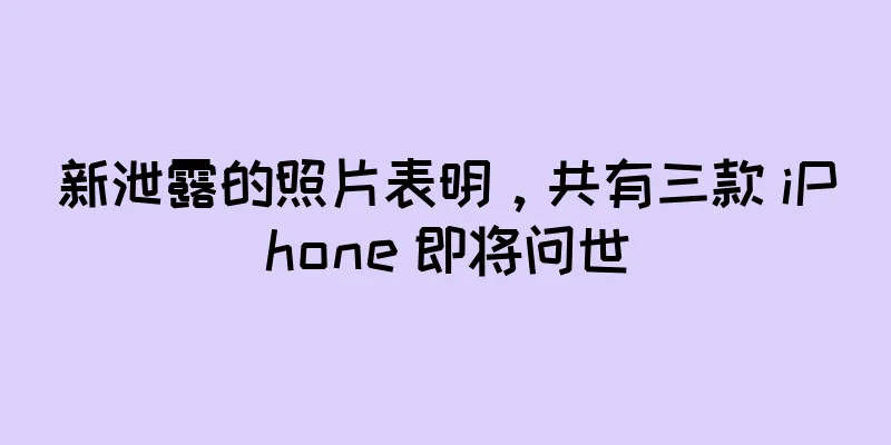 新泄露的照片表明，共有三款 iPhone 即将问世