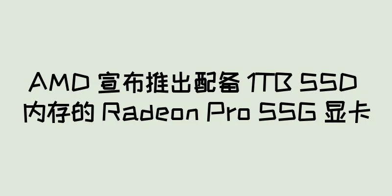 AMD 宣布推出配备 1TB SSD 内存的 Radeon Pro SSG 显卡