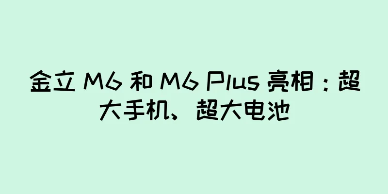 金立 M6 和 M6 Plus 亮相：超大手机、超大电池