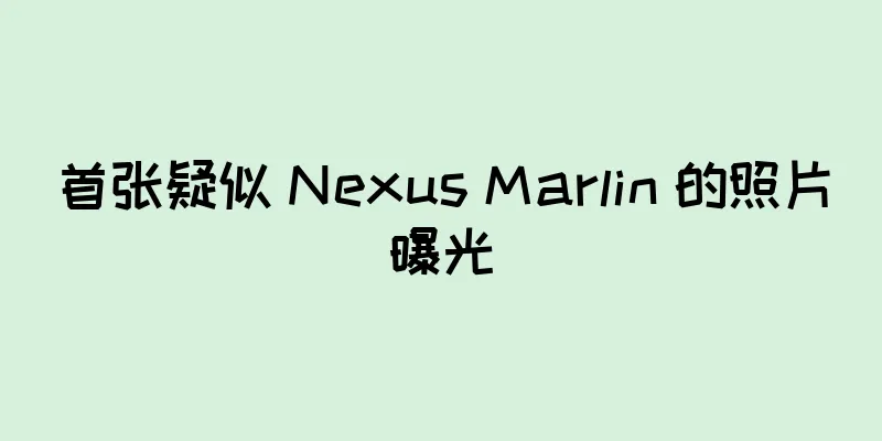 首张疑似 Nexus Marlin 的照片曝光