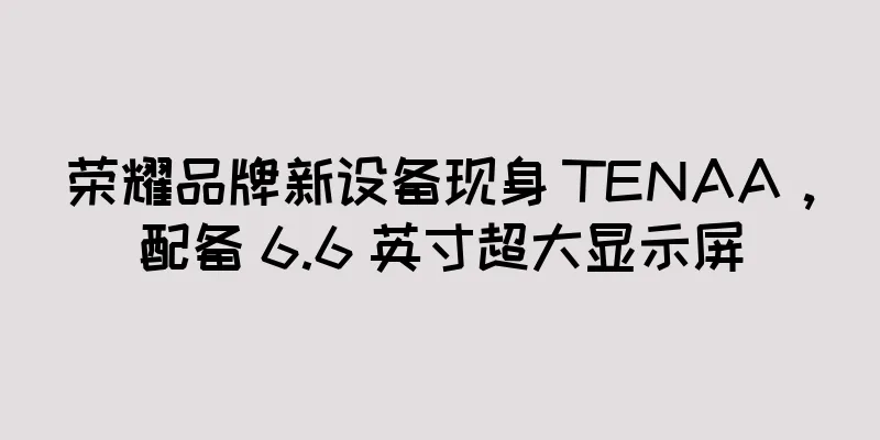 荣耀品牌新设备现身 TENAA，配备 6.6 英寸超大显示屏