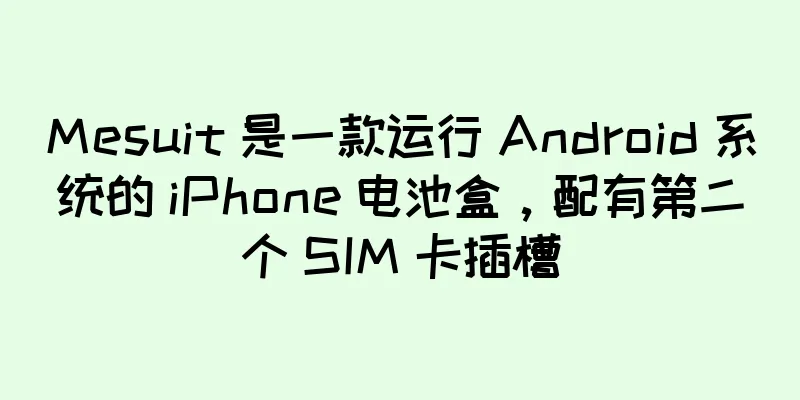 Mesuit 是一款运行 Android 系统的 iPhone 电池盒，配有第二个 SIM 卡插槽