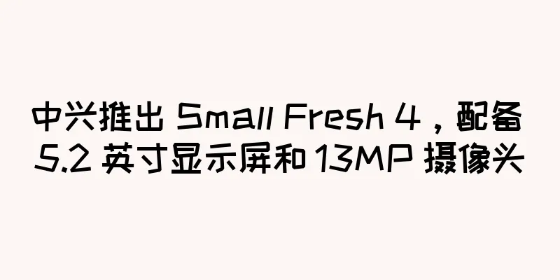 中兴推出 Small Fresh 4，配备 5.2 英寸显示屏和 13MP 摄像头