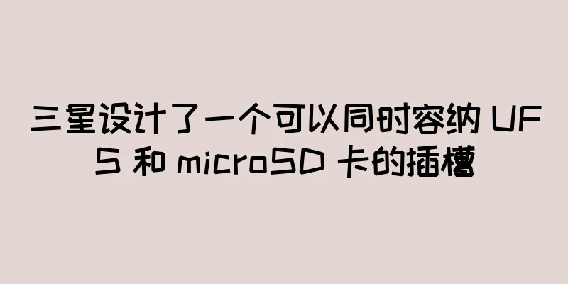 三星设计了一个可以同时容纳 UFS 和 microSD 卡的插槽