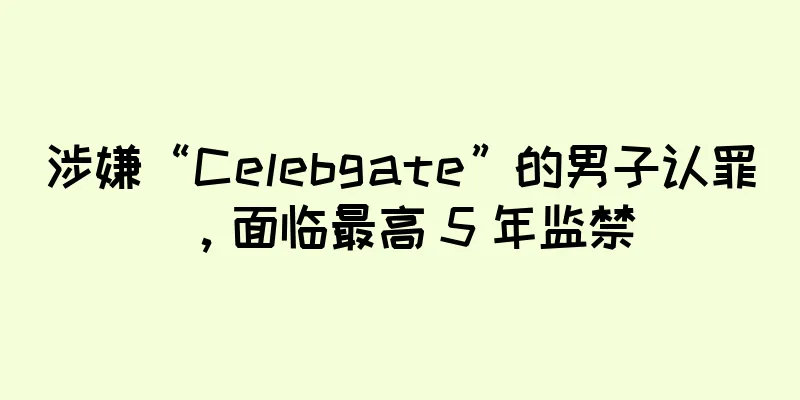 涉嫌“Celebgate”的男子认罪，面临最高 5 年监禁