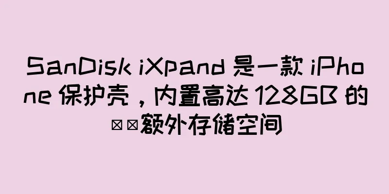 SanDisk iXpand 是一款 iPhone 保护壳，内置高达 128GB 的​​额外存储空间