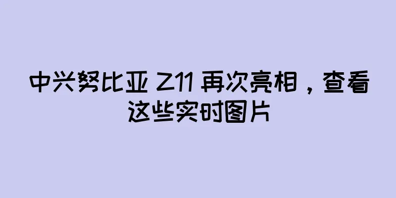 中兴努比亚 Z11 再次亮相，查看这些实时图片