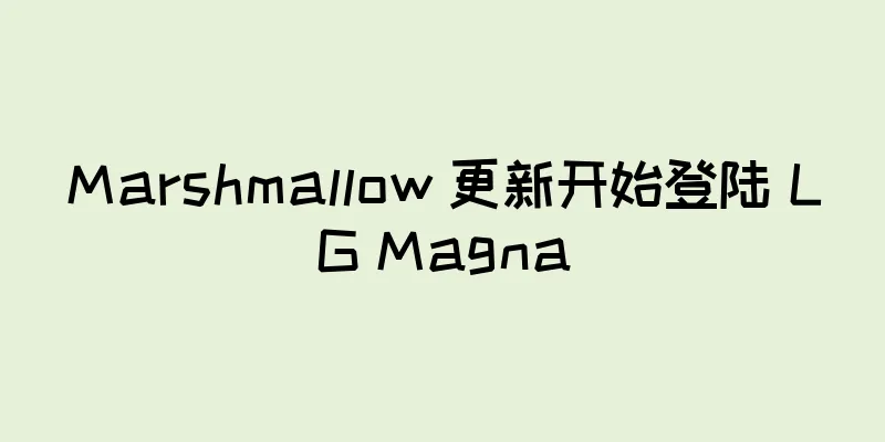 Marshmallow 更新开始登陆 LG Magna