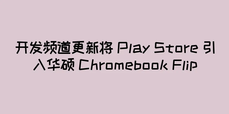 开发频道更新将 Play Store 引入华硕 Chromebook Flip