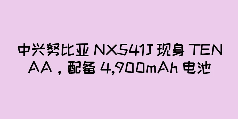 中兴努比亚 NX541J 现身 TENAA，配备 4,900mAh 电池