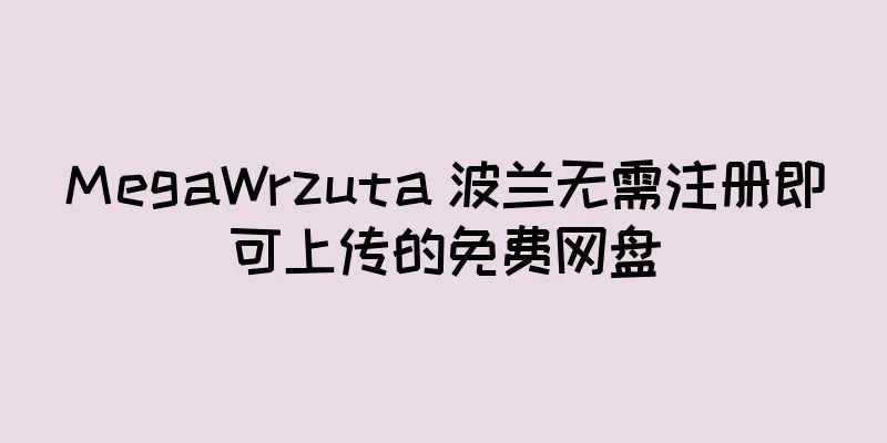 MegaWrzuta 波兰无需注册即可上传的免费网盘