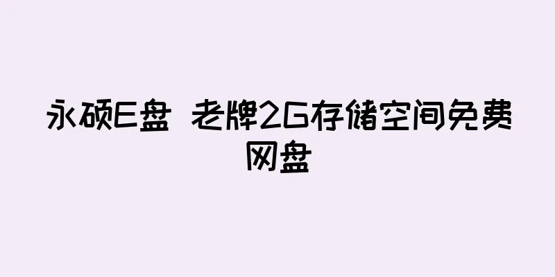 永硕E盘  老牌2G存储空间免费网盘